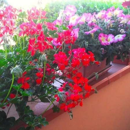 A Casa Doina Airport2 Bed & Breakfast Pisa